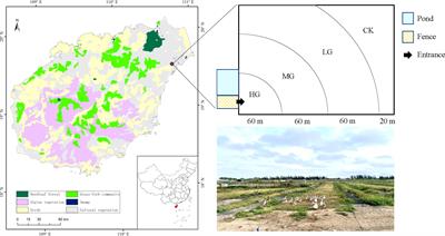 Effects of grazing on vegetation diversity and soil multifunctionality in coconut plantations